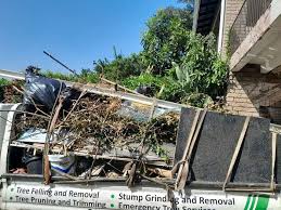 Best Hoarding Cleanup  in Morton Grove, IL